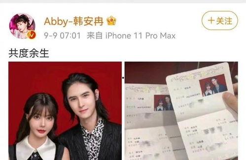 韩安冉最新爆料泽西小说,揭秘背后惊人真相